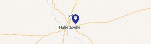 Hallettsville Specialty Property for Sale