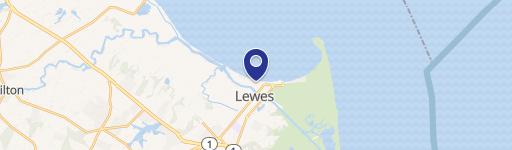 Lewes Specialty Property For Sale