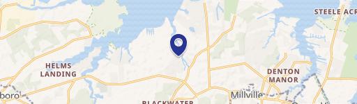 Dagsboro Specialty Property For Sale