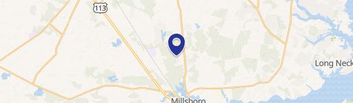 Millsboro Specialty Property For Sale
