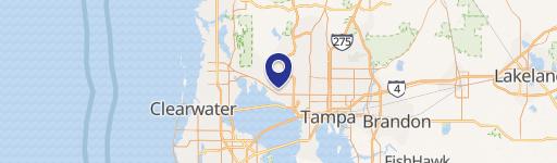 Tampa Specialty Property for Sale
