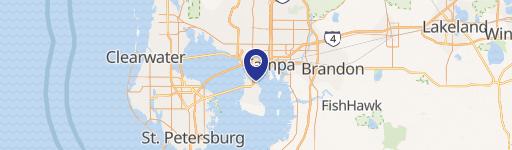 Tampa Specialty Property for Sale