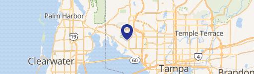 Renovated Tampa Home with Upgrades