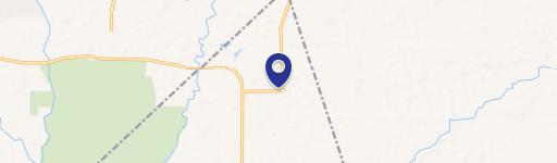 Wooded Corner Lot in New Caney