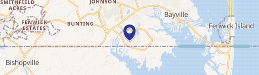 Selbyville Specialty Property For Sale