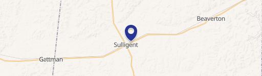 Sulligent, AL 35586