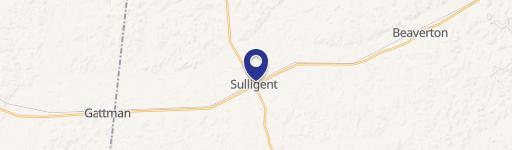Sulligent, AL 35586