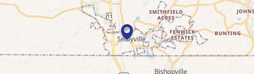 Selbyville Specialty Property for Sale