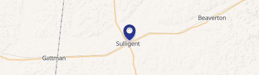 Sulligent, AL 35586