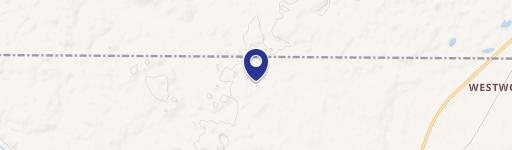 Vacant Land Near Torch Lake