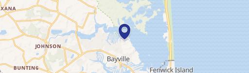 Selbyville Specialty Property For Sale