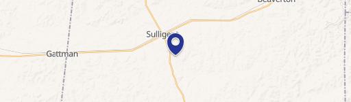 Sulligent, AL 35586