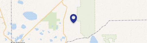 Keystone Heights Wooded Land Parcel