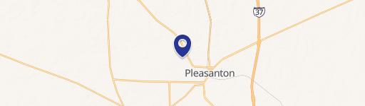 Pleasanton Specialty Property For Sale