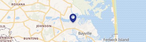 Selbyville Specialty Property For Sale