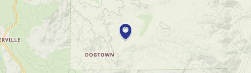 80 Acres Forested Land