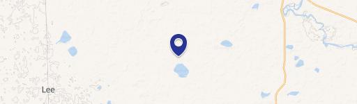 Undeveloped Land with Swan Lake Frontage