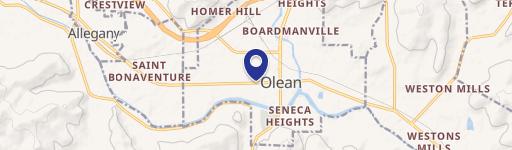 Immaculate Olean Multi-Family Home