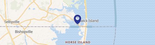 Selbyville Specialty Property For Sale