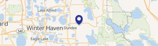 Citrus Grove in Haines City