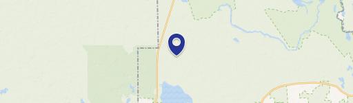 Wooded Lot Near Ocala Forest