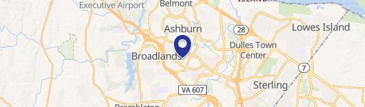 Ashburn Specialty Property For Sale