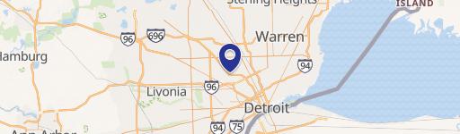 Detroit Duplex: Income-Producing Property