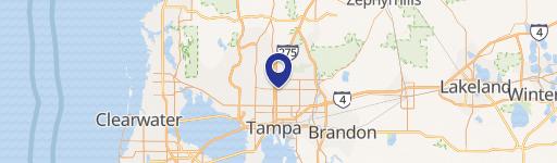Tampa Duplexes with Income Potential