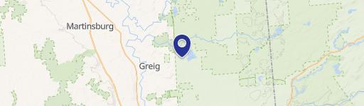 5.10 Acres of Wooded Land