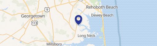 Millsboro Specialty Property For Sale