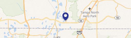 Land O' Lakes Property