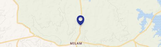 East Texas Land Tract