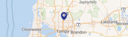 North Tampa Duplex Investment Opportunity