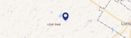 59.32 Acres of Wooded Land