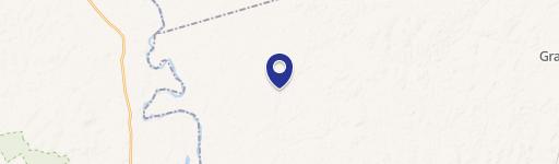 Unrestricted Land Near Grapeland, TX