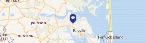 Selbyville Specialty Property for Sale