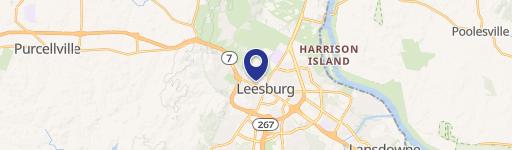 Leesburg Specialty Property for Sale
