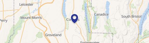 Versatile Land Parcel Near Conesus