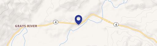 Shy 4 Acres with Fir