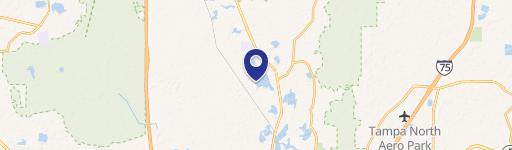 Waterfront Land in Land O' Lakes