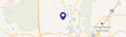 Land O’ Lakes Lakefront Parcel