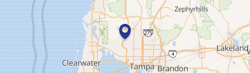 Spacious Buildable Land in Tampa