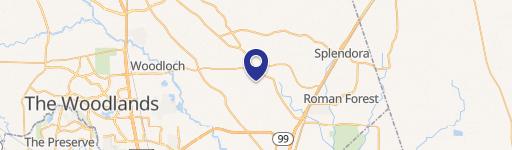 Lush Wooded Land For Sale