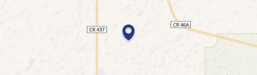 Estate with Racetrack and Oasis