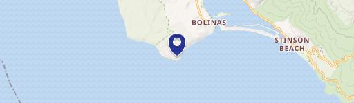 Breathtaking Bolinas Coastal View Property