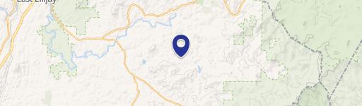 24 Acres on Anderson Creek