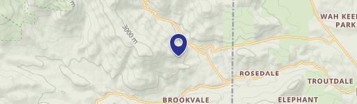 Evergreen Mountain View Property