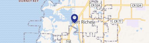 Commercial Land on US Hwy 19