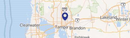 Residential Land in Tampa, FL
