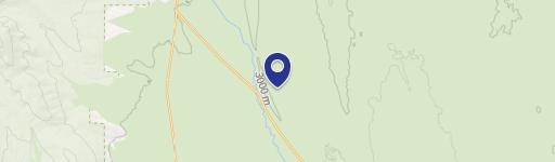 Treed Acre Lot Near Trout River